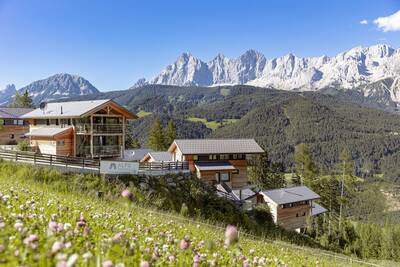 Chalets van Alps Resorts Alpenchalets Reiteralm op een berghelling