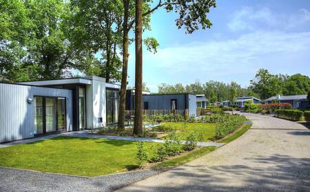 Vakantiehuizen aan een laan op vakantiepark EuroParcs Maasduinen