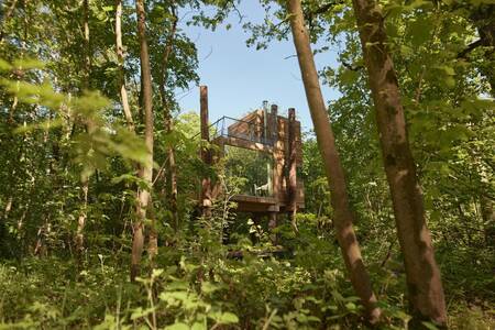 Treeloft: soort boomhut op vakantiepark Landal Forest Resort Your Nature