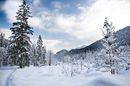 Prachtige winter foto met sneeuw in de omgeving van Roompot Bergresort Winterberg