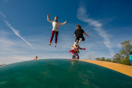 Kinderen springen op de airtrampoline in een speeltuin op vakantiepark Wilsumer Berge