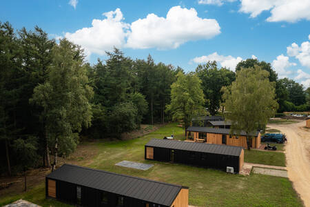 Vrijstaande vakantiehuizen aan een laan op vakantiepark Wilsumer Berge